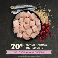 Acana Cat First Feast | 340 g