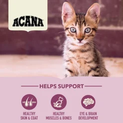 Acana Cat First Feast | 340 g