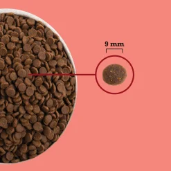 Acana Cat Indoor Highest Protein | 1,8 kg