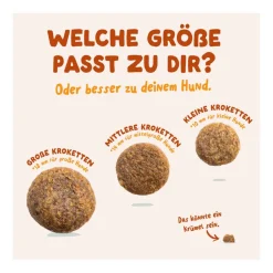 Edgard & Cooper Adult - Pflanzenbasiert mit Karotten und Zucchini | 1 kg