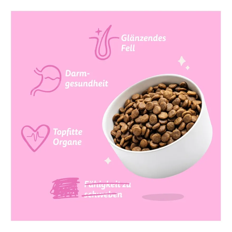 Edgard & Cooper Adult - Pflanzenbasiert mit Rote Beete & Kürbis | 1 kg
