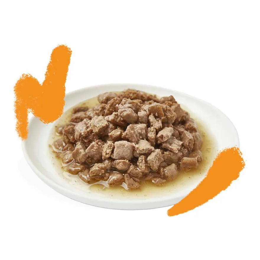 Edgard & Cooper Cat Stückchen in Sauce - 18 x 85 g