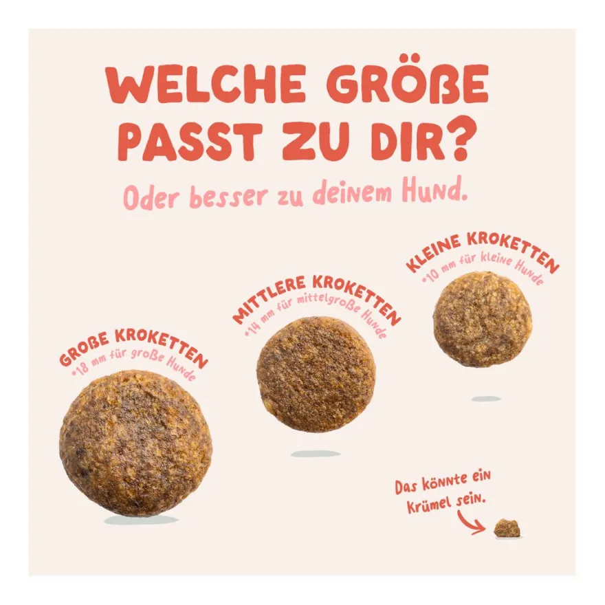 Edgard & Cooper Senior - Frisches Huhn & Lachs (Medium) | 2,5 kg