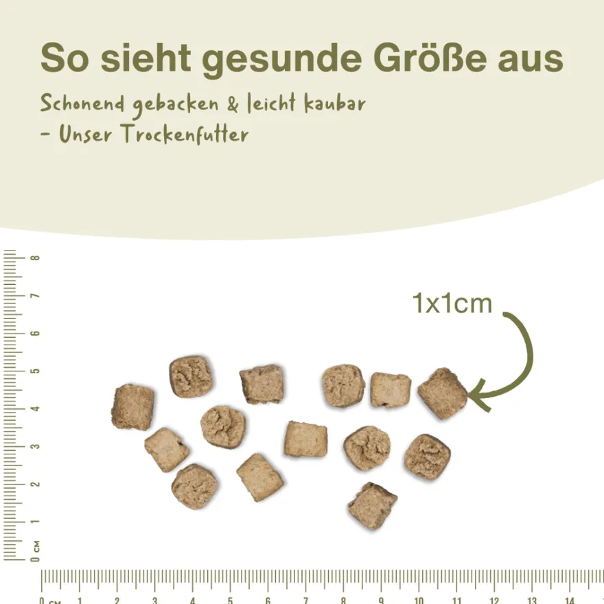 Escapure Trockenfutter Wild | 12 kg