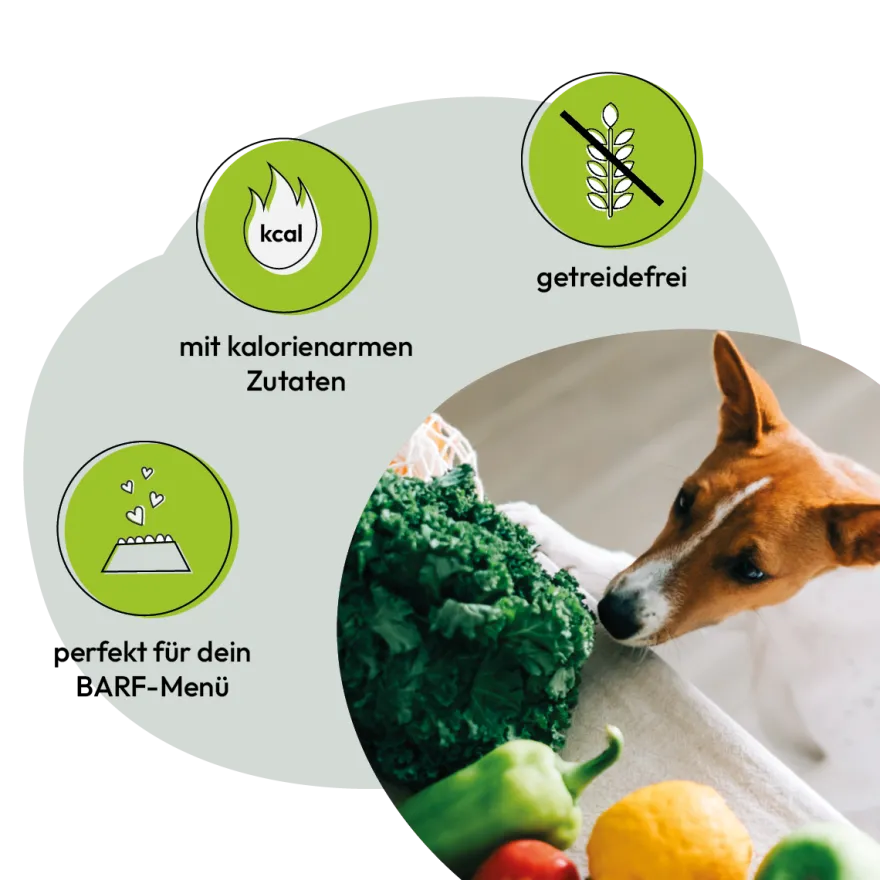 Grau Hund Gemüsemix Mischung Nr. 3 | 150 g