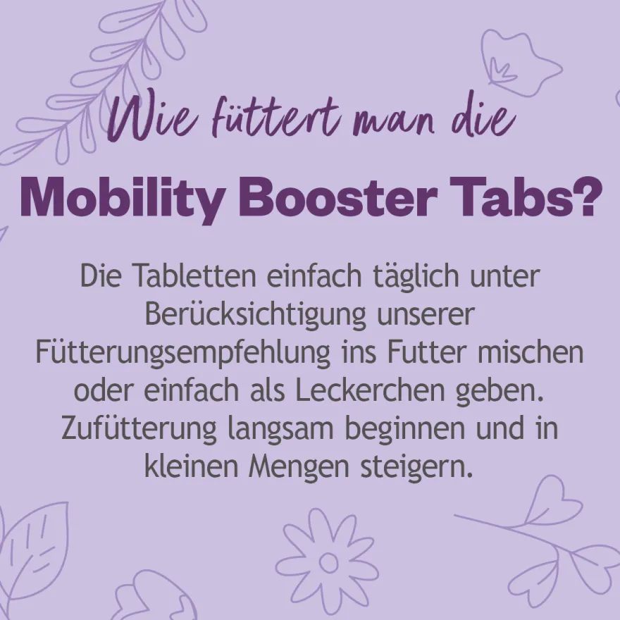 Grau Hund Hokamix Mobility Booster Tabs | 90 Stück