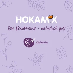 Grau Hund Hokamix Mobility Booster Pulver | 150 g