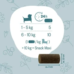 Grau Hund Hokamix Vitality Booster Snack Mini | 400 g