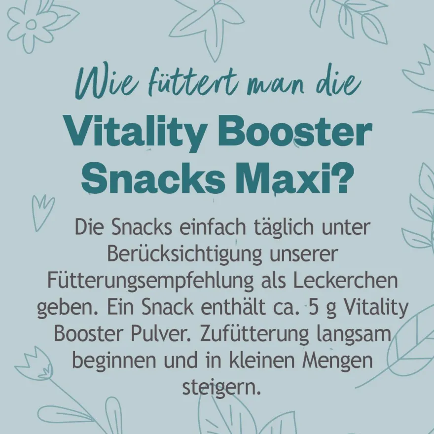 Grau Hund Hokamix Vitality Booster Snack Maxi | 400 g