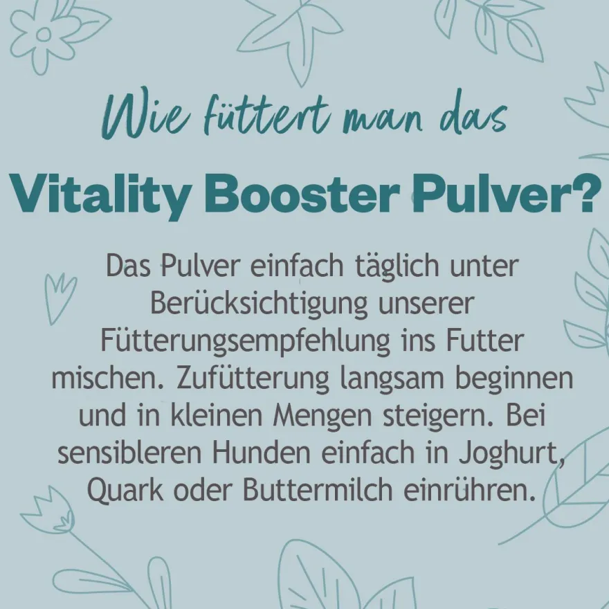 Grau Hund Hokamix Vitality Booster Pulver | 150 g
