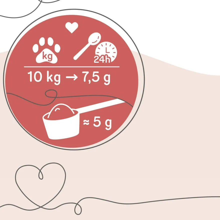 Grau Hund & Katze Collagen Complex | 200 g