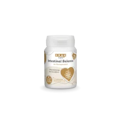 Grau Hund & Katze Intestinal Balance Tabs | 60 Stück