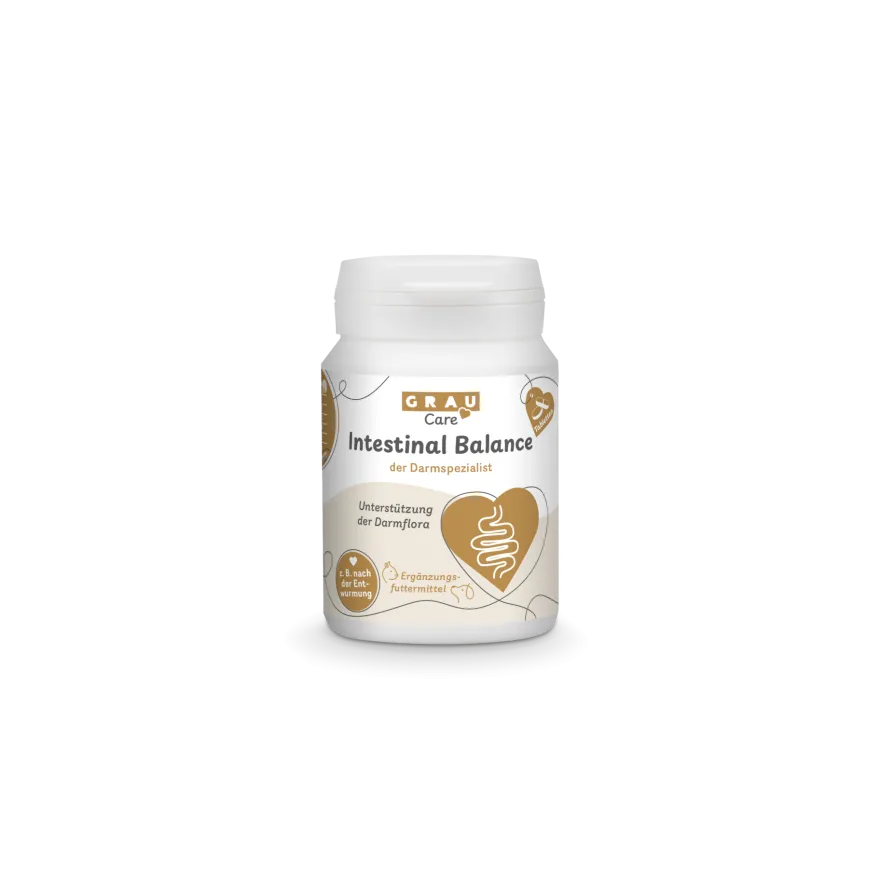 Grau Hund & Katze Intestinal Balance Tabs | 60 Stück