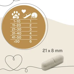 Grau Hund & Katze Intestinal Balance Tabs | 60 Stück