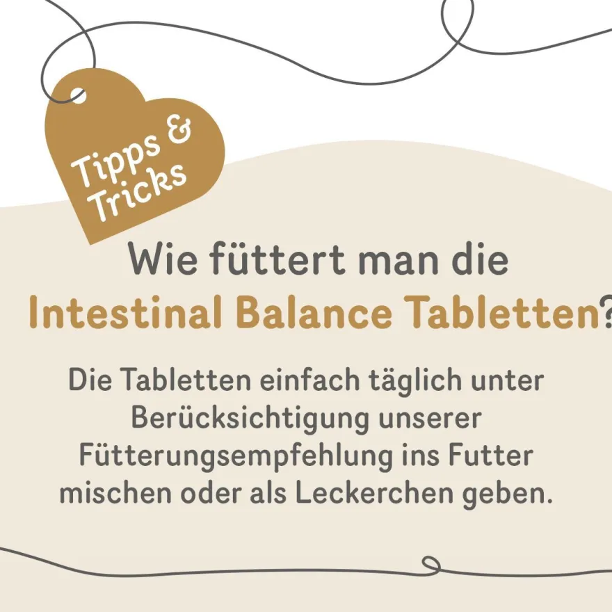 Grau Hund & Katze Intestinal Balance Tabs | 60 Stück