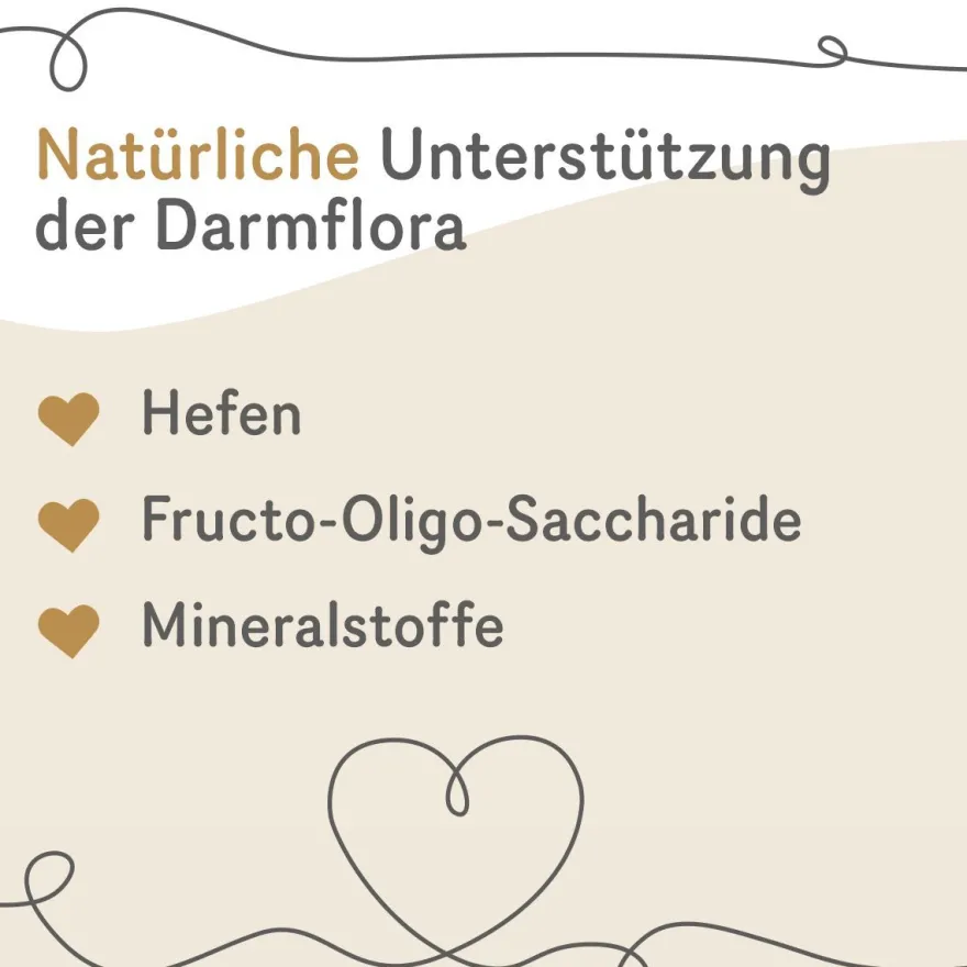 Grau Hund & Katze Intestinal Balance Tabs | 60 Stück