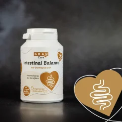 Grau Hund & Katze Intestinal Balance Tabs | 60 Stück
