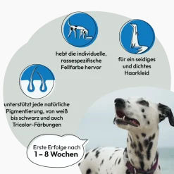 Grau Hund & Katze Seealgenmehl | 200 g