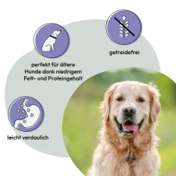 Grau Hund Nassfutter