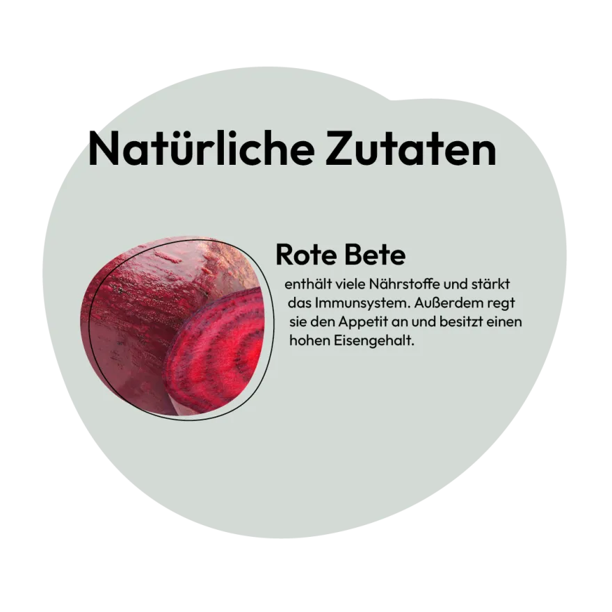 Grau Hund Rote Beete-Würfel | 150 g