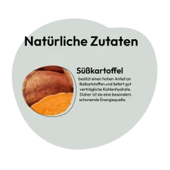 Grau Hund Süßkartoffel-Grieß | 150 g