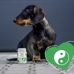 Grau Hund StressLess Tabs | 120 Stück