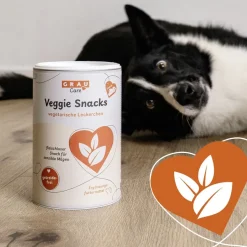 Grau Hund Veggie Snacks | 160 g
