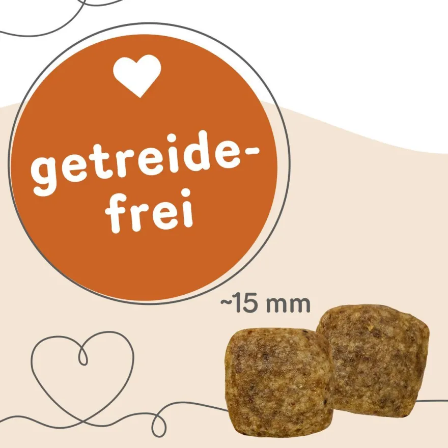 Grau Hund Veggie Snacks | 160 g
