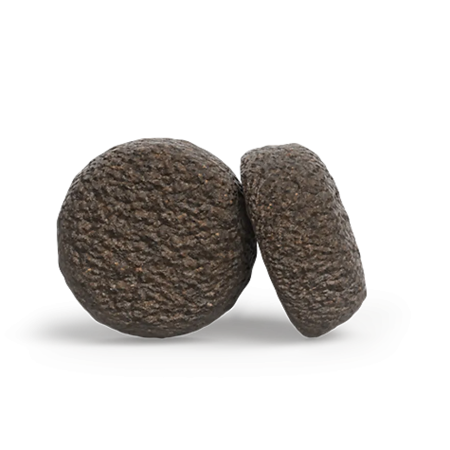 Josera Ente & Kartoffel | 900 g