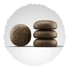 Josera Festival | 900 g