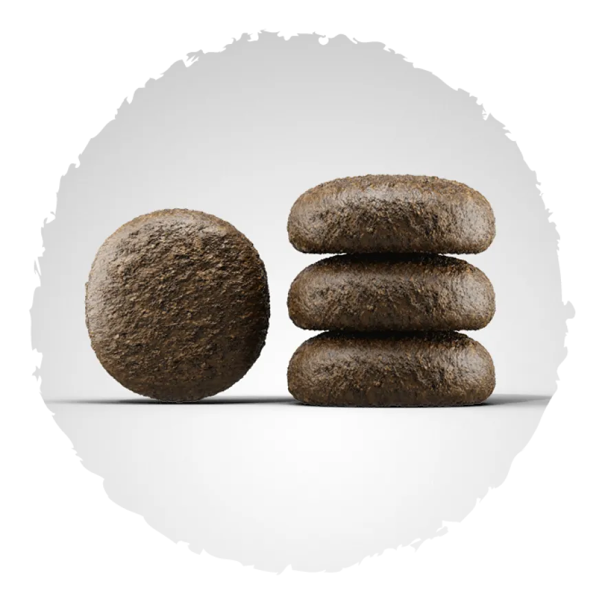 Josera Festival | 900 g