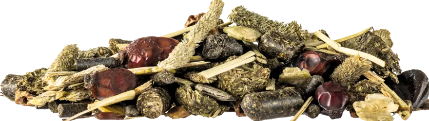 Josera Help Pferd MyoGast Struktur | 15 kg