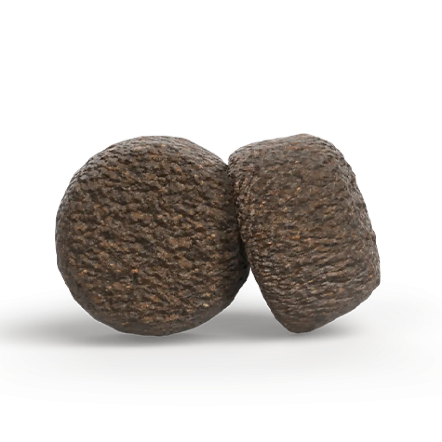 Josera Lamm & Reis | 900 g