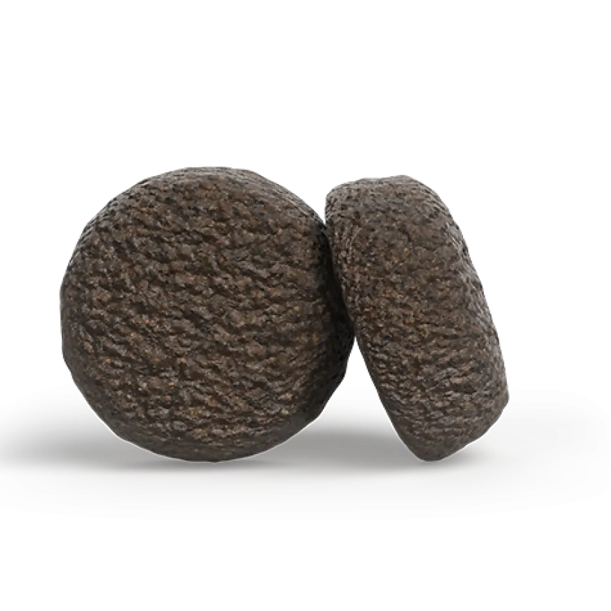 Josera Lamm & Süßkartoffel | 900 g