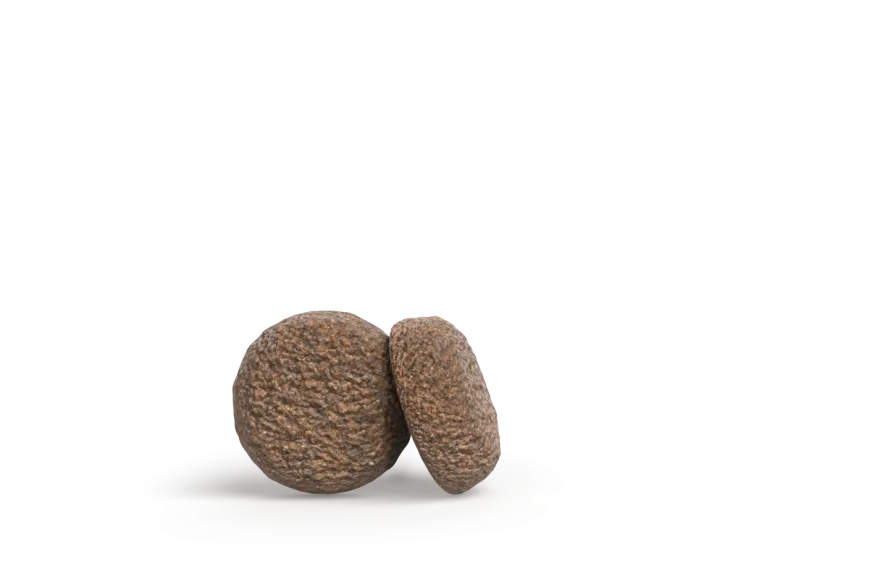 Josera Mini Lamm & Süßkartoffel | 900 g