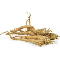 JR Farm Petersilien-Wurzeln | 50 g