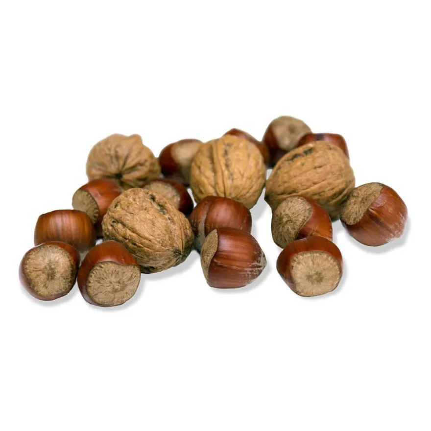 JR Garden Eichhörnchen-Knack | 250 g