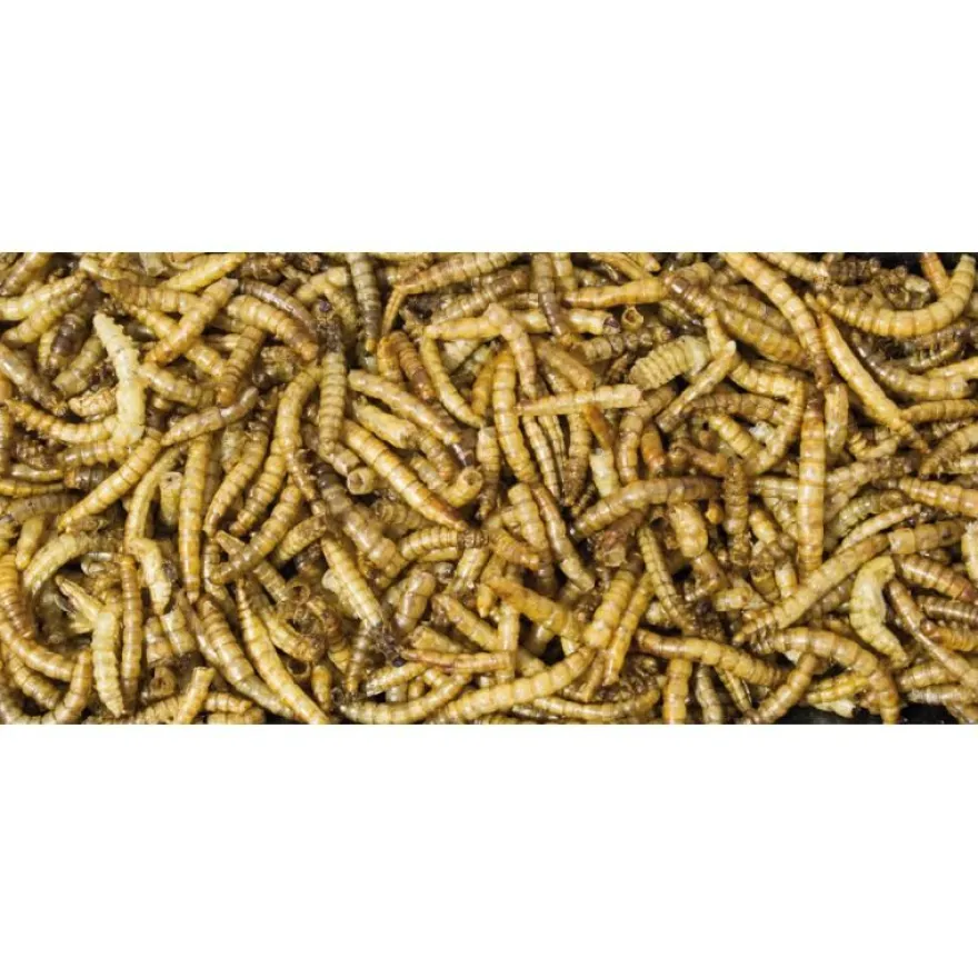 JR Garden Wildvogel Mehlwürmer Eimer | 400 g