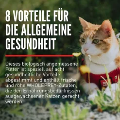 Orijen Cat Guardian 8 | 340 g