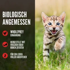Orijen Cat Kitten | 340 g