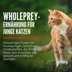 Orijen Cat Kitten | 340 g
