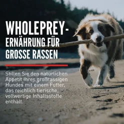 Orijen Dog Adult Large Breed | 11,4 kg