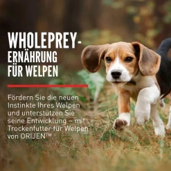 Orijen Dog Puppy | 2 kg