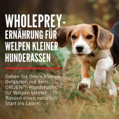 Orijen Dog Puppy Small Breed | 1,8 kg