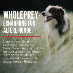Orijen Dog Senior | 2 kg