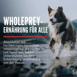 Orijen Dog Tundra | 2 kg