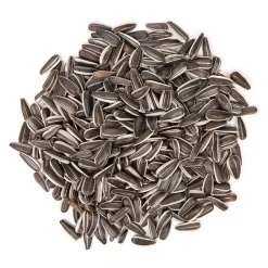 Pick up Sonnenblumenkerne, gestreift, Kunststoff | 5 kg