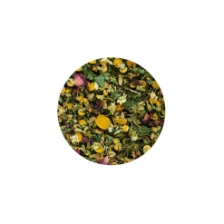 Terra Canis Pudelwohl | 60 g