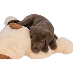 TRIXIE Ankuschelhund Benny, Plüsch