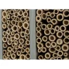 TRIXIE Bienenhotel, Holz | 30 x 35 x 12 cm